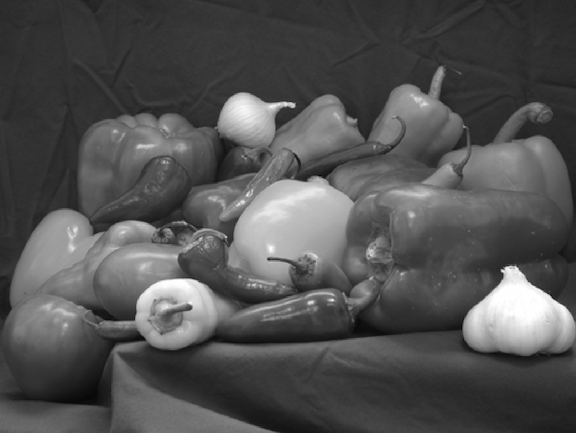 Grayscale Image