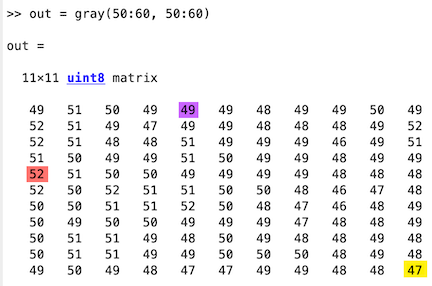 Matrix of Grayscale Image